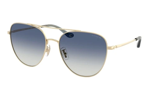 Sunglasses Coach CBZ89 (HC7182 90054L)
