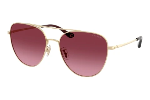 Sunglasses Coach CBZ89 (HC7182 90058H)
