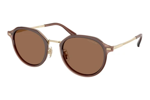 Sunglasses Coach CBZ97 (HC7183 947473)