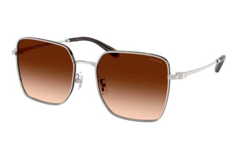 Sunglasses Coach CBZ51 (HC7184D 94775M)