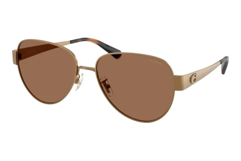 Sunglasses Coach CDP37 (HC7186 948473)