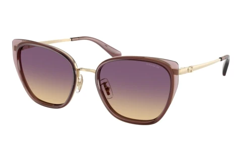 Sunglasses Coach CDP56 (HC7187 948570)