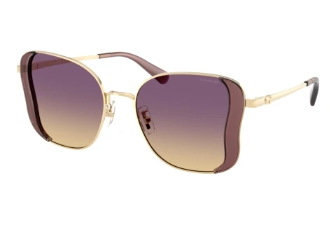 Sunglasses Coach CDP51 (HC7188 900570)