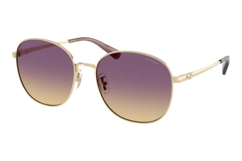 Sunglasses Coach CDP39 (HC7189 900570)
