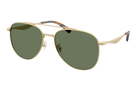 Sunglasses Coach CDP40 (HC7190 900582)