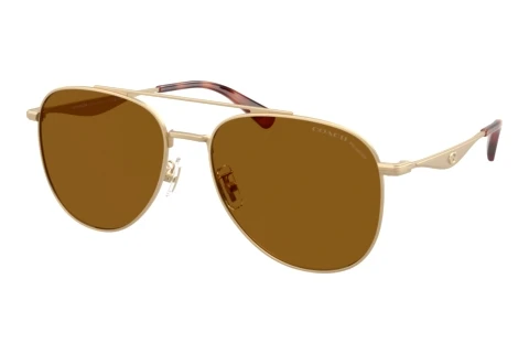 Sunglasses Coach CDP40 (HC7190 900583)