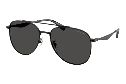 Sunglasses Coach CDP40 (HC7190 943887)