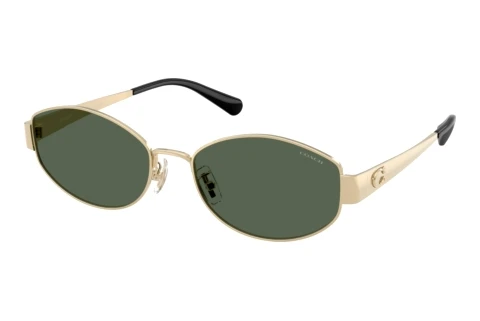 Sunglasses Coach CDP44 (HC7192D 900571)