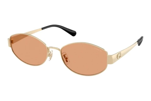 Sunglasses Coach CDP44 (HC7192D 900584)