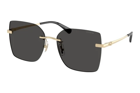 Sunglasses Coach CDP45 (HC7193D 900587)