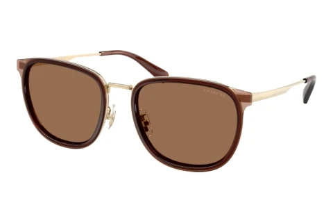 Sunglasses Coach CFU13 (HC7195 947473)