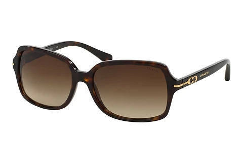 Sunglasses Coach L087 BLAIR (HC8116 500113)