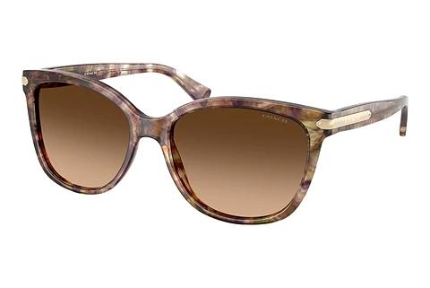 Sunglasses Coach L109 (HC8132 528713)