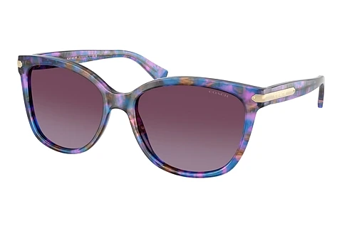 Sunglasses Coach L109 (HC8132 52888H)