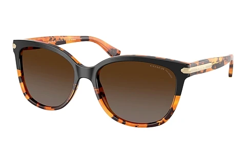 Sunglasses Coach L109 (HC8132 5438T5)