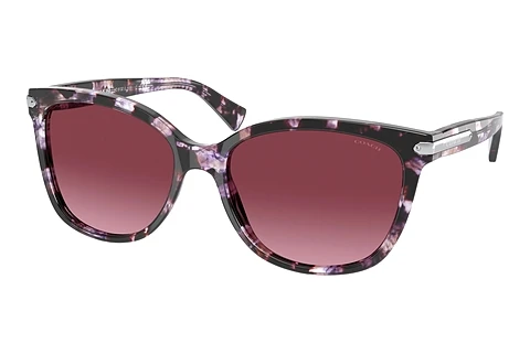 Sunglasses Coach L109 (HC8132 55488H)
