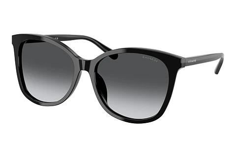 Sunglasses Coach L1101 (HC8271U 5002T3)