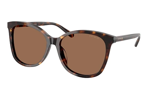 Sunglasses Coach L1101 (HC8271U 512073)