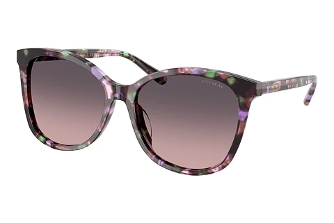 Sunglasses Coach L1101 (HC8271U 584346)