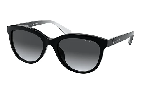 Sunglasses Coach L1137 (HC8285U 5002T3)