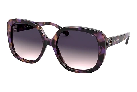 Sunglasses Coach L1144 (HC8292 561236)