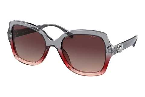 Sunglasses Coach L1147 (HC8295 5620E2)