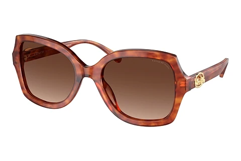 Sunglasses Coach L1147 (HC8295 5774T5)