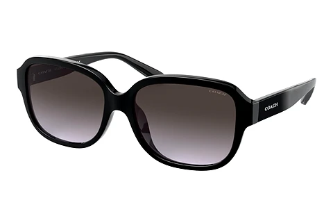 Sunglasses Coach L1153 (HC8298U 50028G)