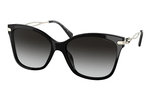 Sunglasses Coach C3446 (HC8316 50028G)