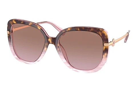 Sunglasses Coach C6180 (HC8320 56505M)