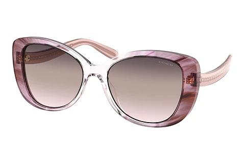 Sunglasses Coach C6183 (HC8322 5656U8)