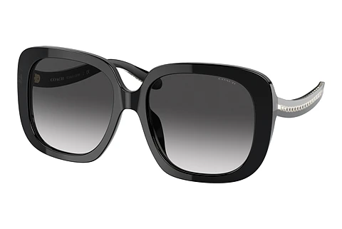 Sunglasses Coach C6185 (HC8323U 50028G)