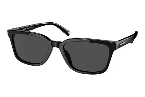 Sunglasses Coach C6196 (HC8328U 500287)