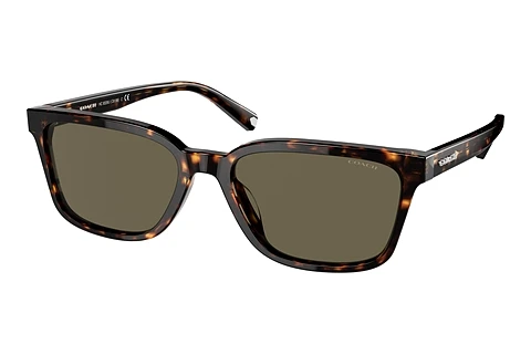 Sunglasses Coach C6196 (HC8328U 512003)