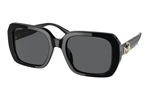 Sunglasses Coach C6188 (HC8329U 500287)