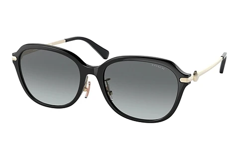 Sunglasses Coach C6199 (HC8332D 500211)