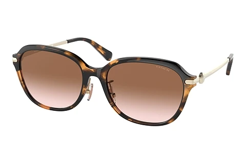 Sunglasses Coach C6199 (HC8332D 512013)