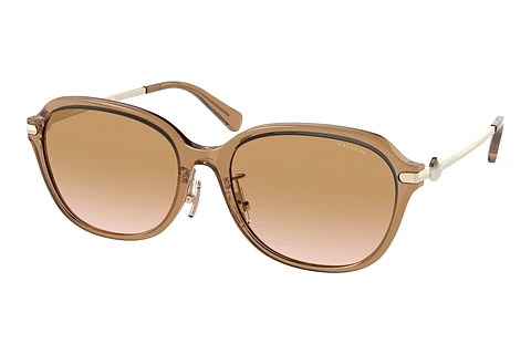 Sunglasses Coach C6199 (HC8332D 565413)