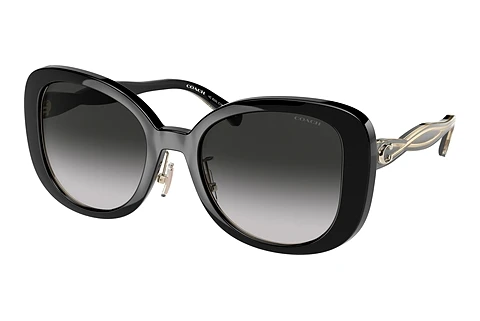 Sunglasses Coach C7995 (HC8333 50023C)