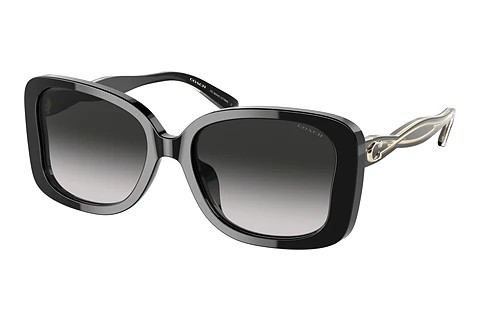 Sunglasses Coach C7994 (HC8334U 50023C)
