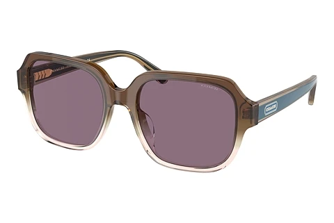 Sunglasses Coach C7989 (HC8335U 56781A)