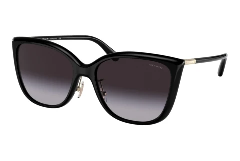 Sunglasses Coach C9206 (HC8345 50028G)