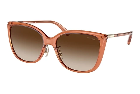 Sunglasses Coach C9206 (HC8345 570013)