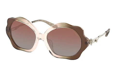 Sunglasses Coach C9200 (HC8346BU 54008D)