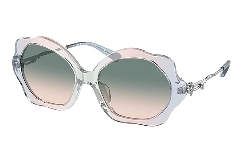Sunglasses Coach C9200 (HC8346BU 56422C)