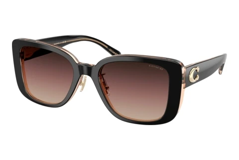 Sunglasses Coach CD472 (HC8352 5781E2)