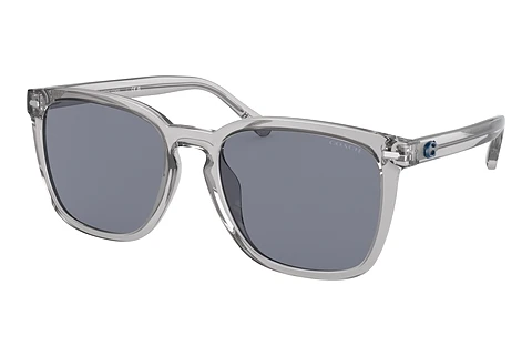 Sunglasses Coach CD458 (HC8354U 571855)