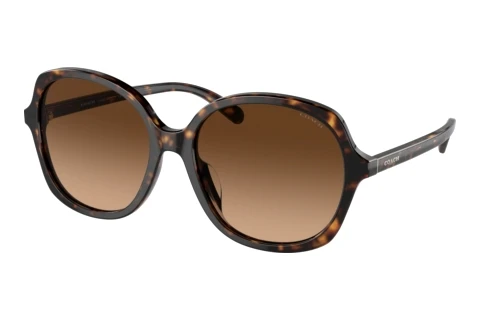 Sunglasses Coach CH557 (HC8360U 512074)
