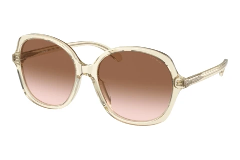 Sunglasses Coach CH557 (HC8360U 573613)