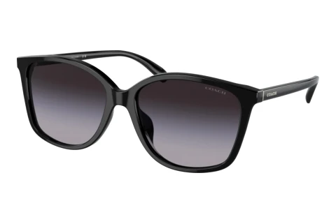 Sunglasses Coach CH558 (HC8361U 50028G)